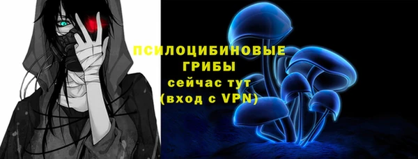 гашик Зеленодольск