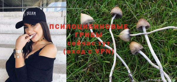гашик Зеленодольск