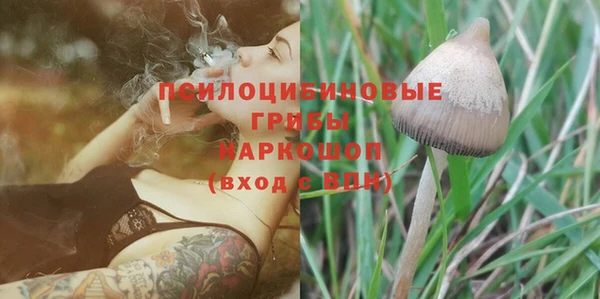 гашик Зеленодольск