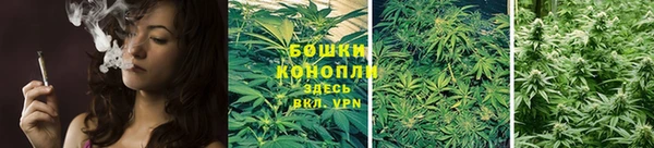 гашик Зеленодольск