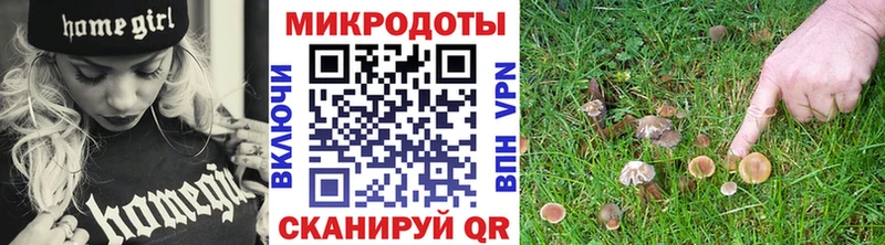 Псилоцибиновые грибы прущие грибы  гидра ссылка  Кингисепп 